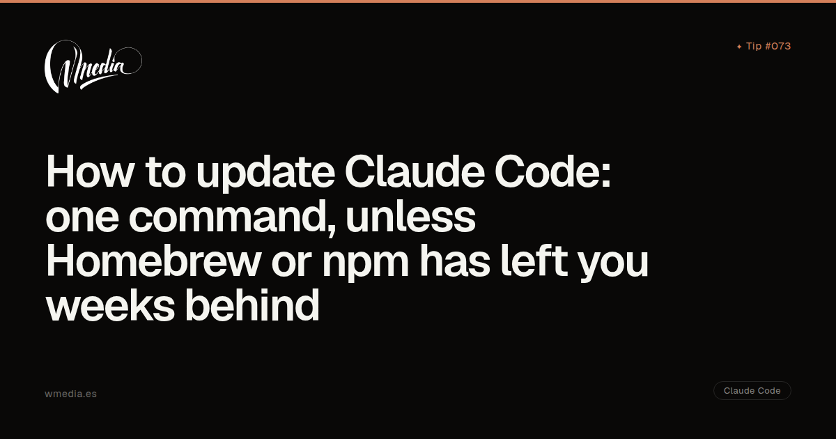 How to update Claude Code (depends on how you installed it) | wmedia.es